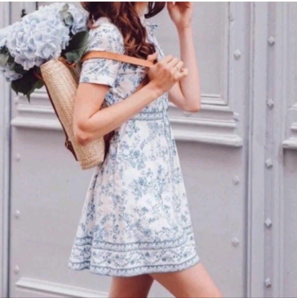 Gal meets glam dress  Darla Cotton Toile Shirt Dress Cornflower Floral Sz 10